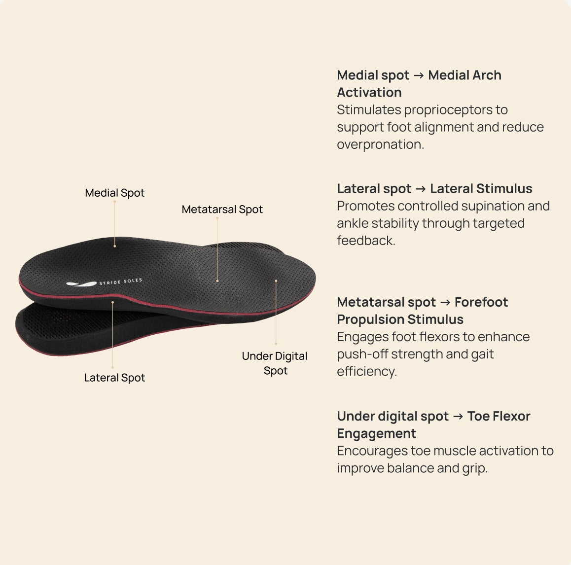 Sensorimotor Orthotics